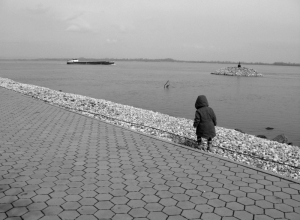 Camera-my good friend_12