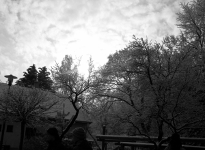 Camera-my good friend_17