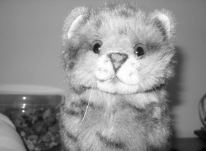 Camera-my good friend_26