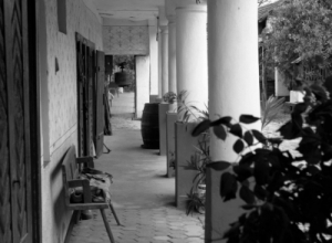 Camera-my good friend_45