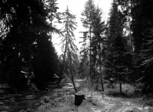 Camera-my good friend_47