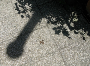 Camera-my good friend_57