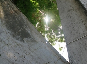 Camera-my good friend_73
