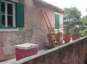 Palmizana_39