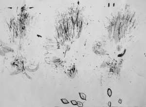 SUPER BLACK INKY BLINKY-4