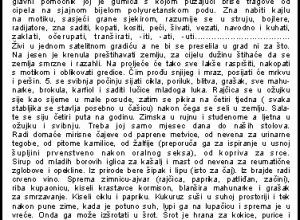 daliborka